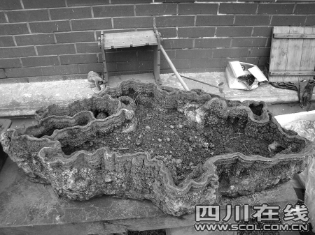 ��˹�ص�ò�r���γɵġ����衱 