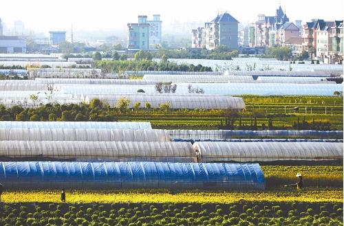 �½�ȫ悽o��ľ�w�����ӡ������_���f����