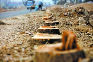 ���գ���ƽ�d��������ڴ��ԣ����п���ʣ�µĘ䘶�����գ�ԓ·������Ҫ���죬·߅���ٿØ䱻����ӛ�� ���Ό� �z