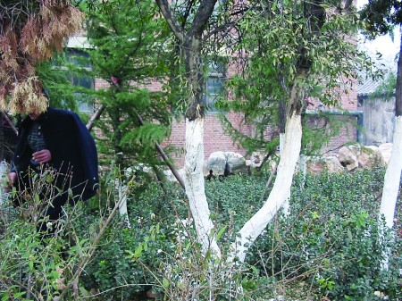 ʡ�D�����ˆT�Q�@��ʯ�����L��ԭ��Ȫ�ص��ς�(c��)��