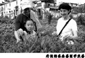 ������Դ�����O�Ї������l�塢����������B�Ļ����@(�M�D)