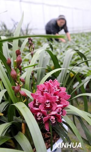 �������ϣ�ץס���ݰlչ���ܮa�I��2��(�D)