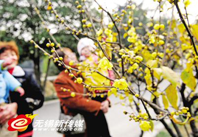 �o�a��÷�@�Mɽ�L���^ �D÷�仨�����G