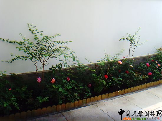 W\(yn)픾G--2009걱Ѓ(yu)|(zh)