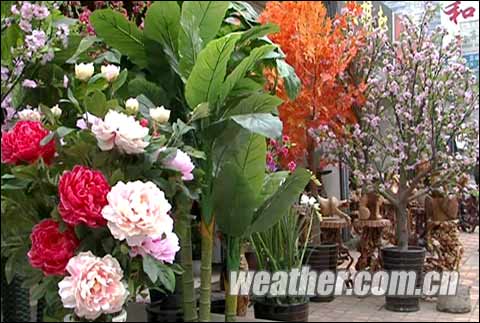 �ѹ��R������������