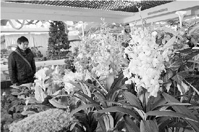 ���ݣ��G�ǻ�������� �辰���ߙn�m������m����