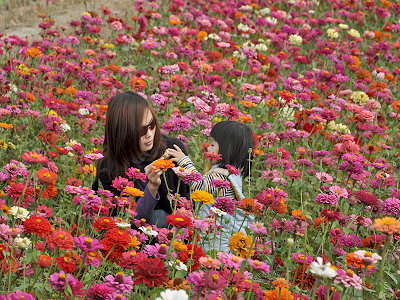 2009���x�л�����(ji��) ���_�����F(xi��n)������