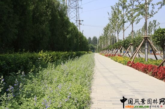 ���е���߅�G��