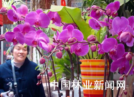 �K�ݣ�ʥ�Q���������R�� �����r�����N