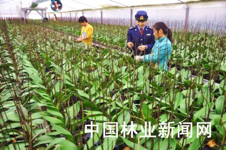 ���K�����r���ÿƼ��������ջ��ܓ�ռ�Ј�