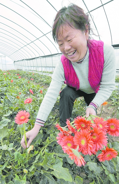 �Fꖣ��r��Nֲ��Ʒ���ܴ��¸�