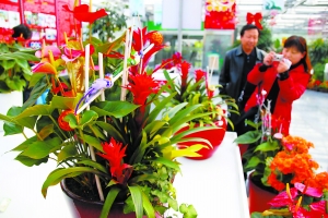 ���������С��� ���֎���ϲ��