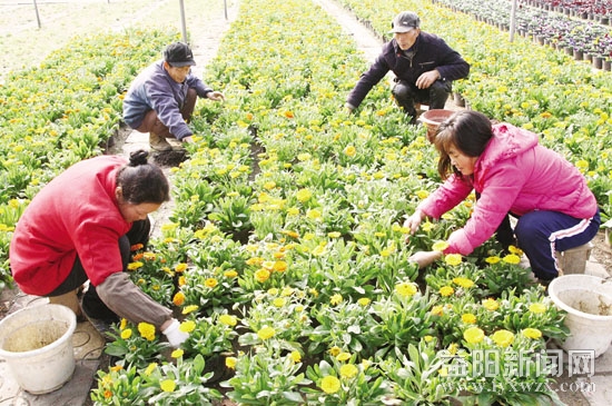 �@��̎�ʂ����f�����r��ӭ������ĵ���