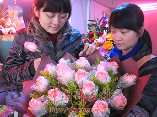 ������ʥ�Q���������R �r������ζ�����⣨�D�� 