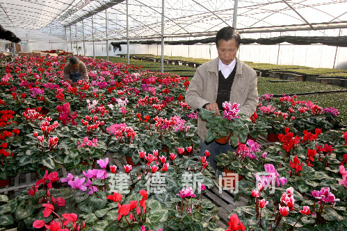 �㽭�����������r��ӭ�ѹ����D��