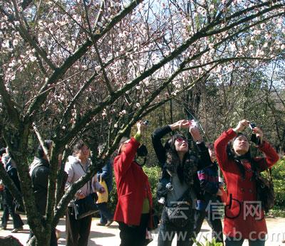 ����������̶���@27�Ռ��_��ӭ��÷��չ��