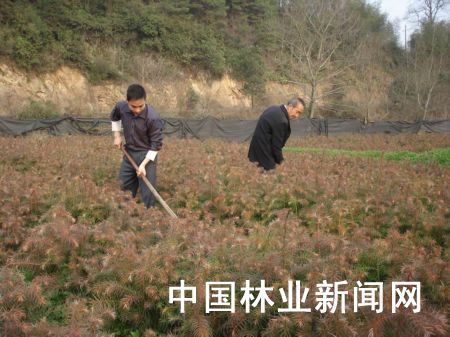 �D��ԓ�h�����l�������r�����ڽo�t��ɼ�������ʂ�ʩ�ʡ� 