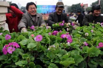 ����29����ӛ�����б������@�|���T�������@�ֹ������ڔ[���r����