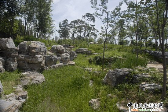 Wƥɭֹ@υ^2̖˶Έ@־G