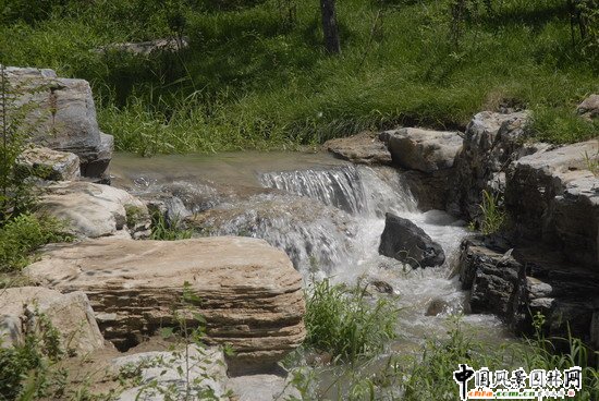 Wƥɭֹ@υ^2̖˶Έ@־G