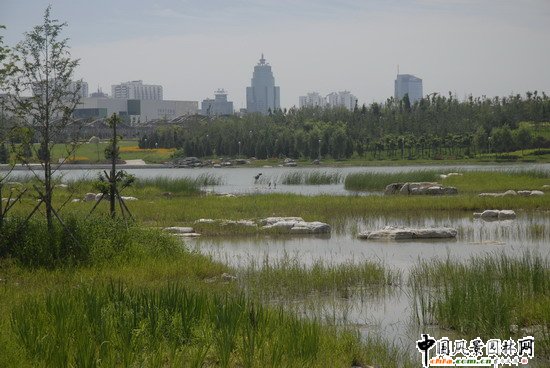 Wƥɭֹ@υ^2̖˶Έ@־G