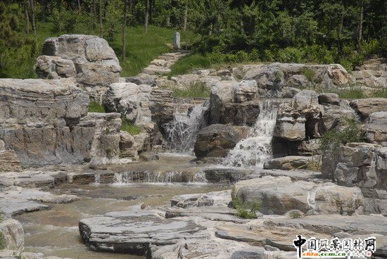 Wƥɭֹ@υ^2̖˶Έ@־G