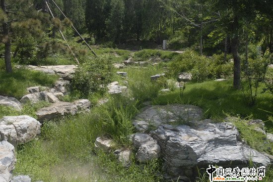 Wƥɭֹ@υ^2̖˶Έ@־G