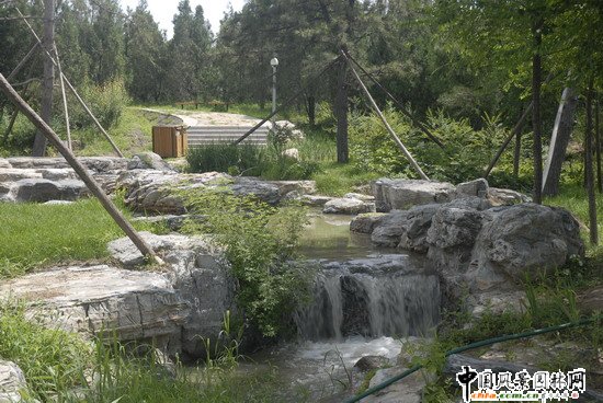 Wƥɭֹ@υ^(q)2̖(bio)Έ@־G