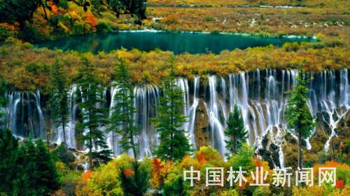 ҇(gu)رo(h)I(y)ٰl(f)չ(D)կχ(gu)Ҽ(j)Ȼo(h)^(q)