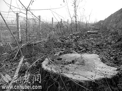 �h�˸��ٷ��o�ֱ���267�� ·�����T�|�ɺϷ���