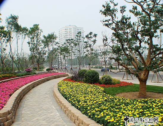 ��ꖅ^2007��2468���c������c�؅^�h�������Ŀ������ˮ��