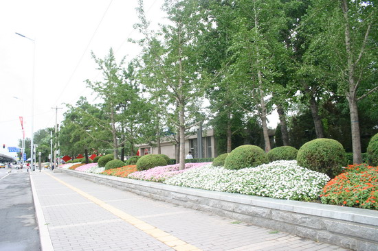 2008(hu)Ʒ֮h(hun)ς(c)ٹ@h(hun)G