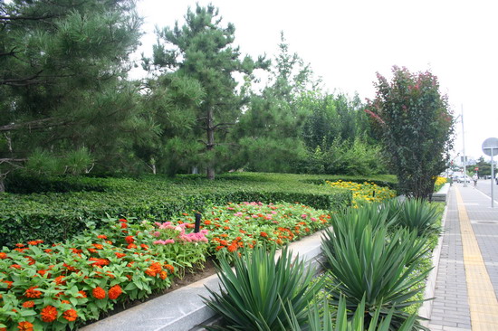 2008(hu)Ʒ֮h(hun)ς(c)ٹ@h(hun)G