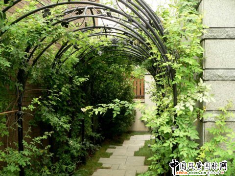 �����e�����ژӰ徰�^����