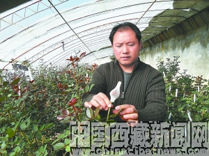 ���_�����س��a��300�f֦����ܰ���N���Ჴ��