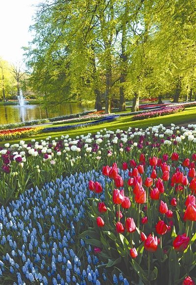 荷蘭：庫肯霍夫公園發出春天的邀請