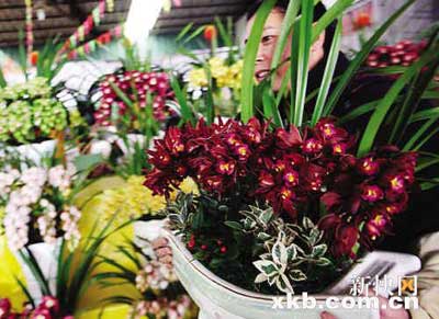 �����Ĵ��d���������������"���ԏ�"��