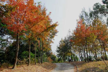 ��ۼt�~֮�׵ė������~Ƭ�r�t���c������Ҋ�ė��~�����������Ժ������w�C�������p����������ľ�ɫ