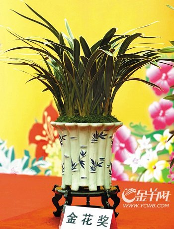 �������Ї����Ի��ܽ��ו��x�������𻨡�