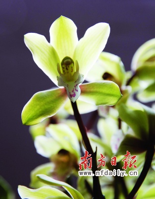 ���������ԏ����F�����