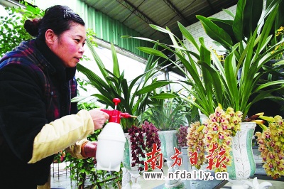 ���������ԏ����F�����