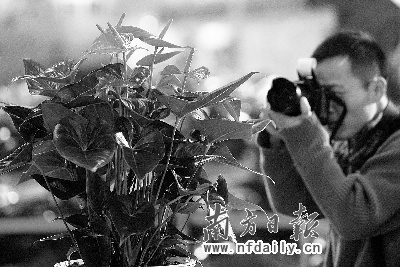 �Ї��������_Ļ