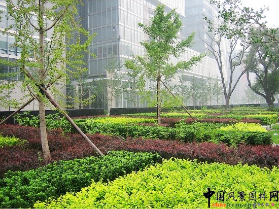 凱晨廣場--綠化景觀