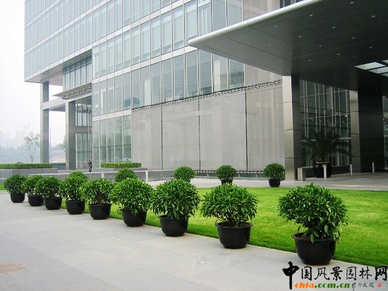 凱晨廣場--室外景觀效果