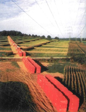 Masha SchwartzO(sh)Ӌ(j)(w)