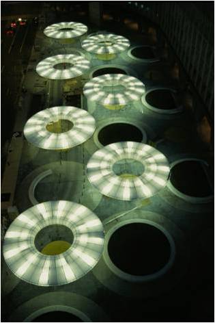 Masha SchwartzO(sh)Ӌ(j)(w)