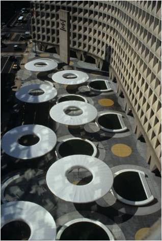 Masha SchwartzO(sh)Ӌ(j)(w)