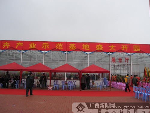 �m�����a���