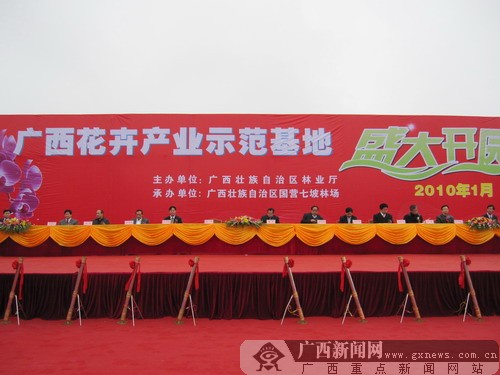 �_���xʽ�F����