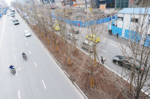 ���ǅ^һЩ�ط��ԷN�Ę�ľ�^���ܼ�